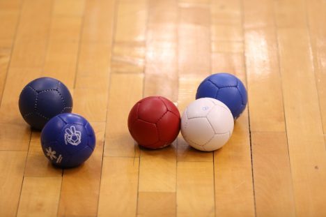 boccia-rdwrtgipp24rnh742xvjr601gncdrguwl9b85g54bq
